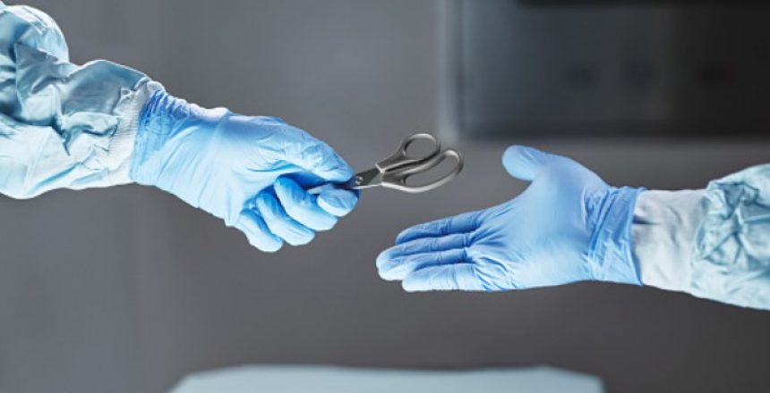 bodyparts
